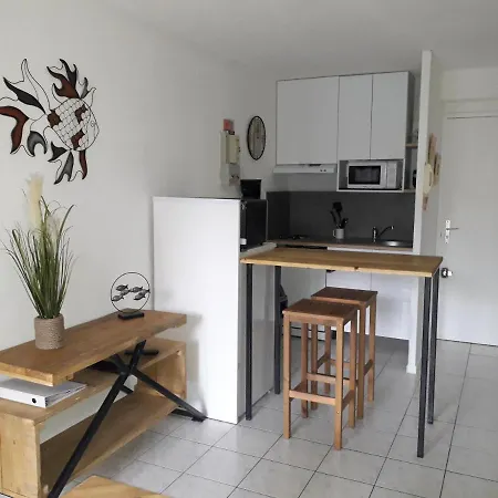 公寓 Le Venizio - Classe 2 Etoiles - T2 Climatise, Avec Terrasse, Parking, Pret De Velos, 10 Minutes A Pied Gare Et Centre